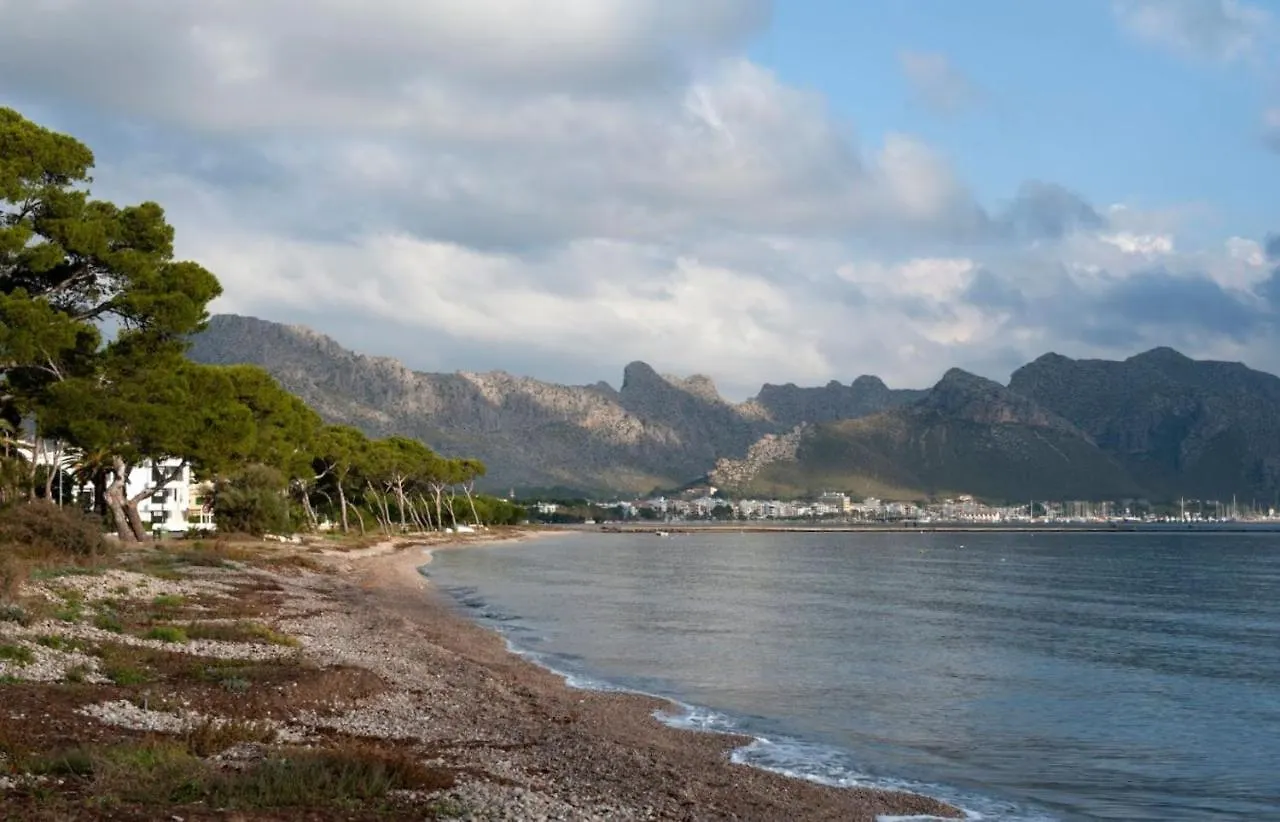 Llenaire Mar: Beachfront Apartment With Pool Pollenca